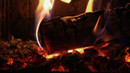 Premium Kamin – Nah am Feuer