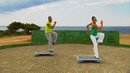Step Workout – Einführung